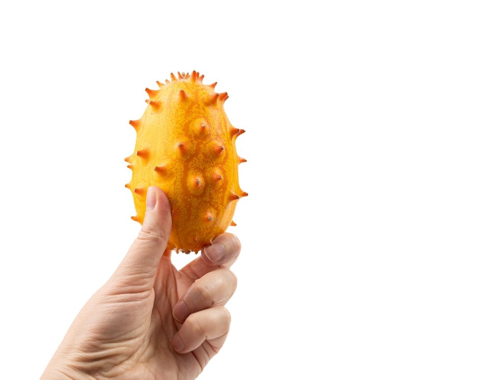 African Horned Cucumber Seeds – Cucumis metuliferus - SHOP SEEDS