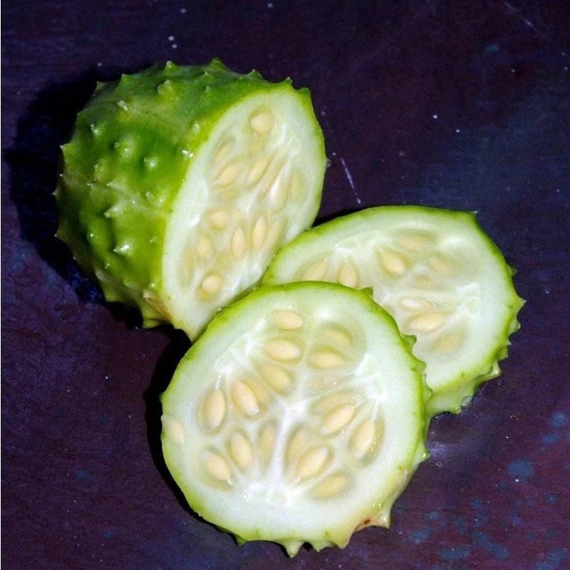 Cucumber West Indian Gherkin Seeds – Cucumis anguria - SHOP SEEDS