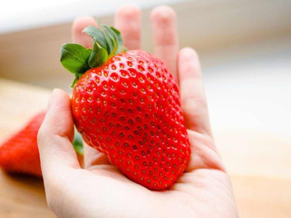 Giant Strawberry Seeds – Fragaria x ananassa - SHOP SEEDS