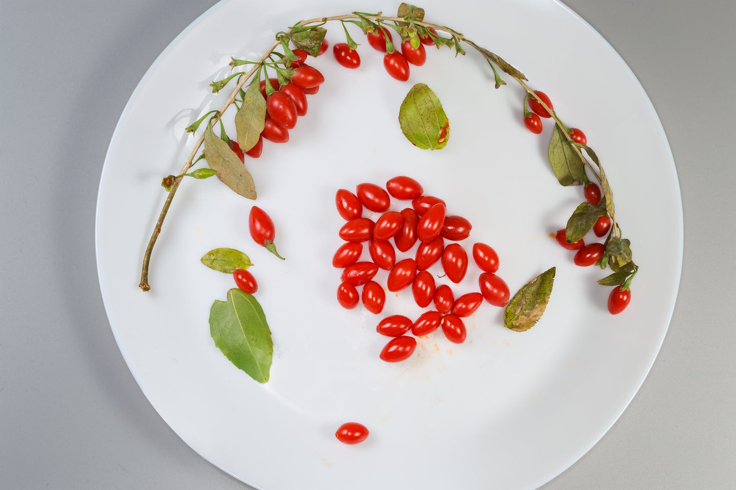 Goji Berry Seeds – Lycium barbarum (Wolfberries) - SHOP SEEDS