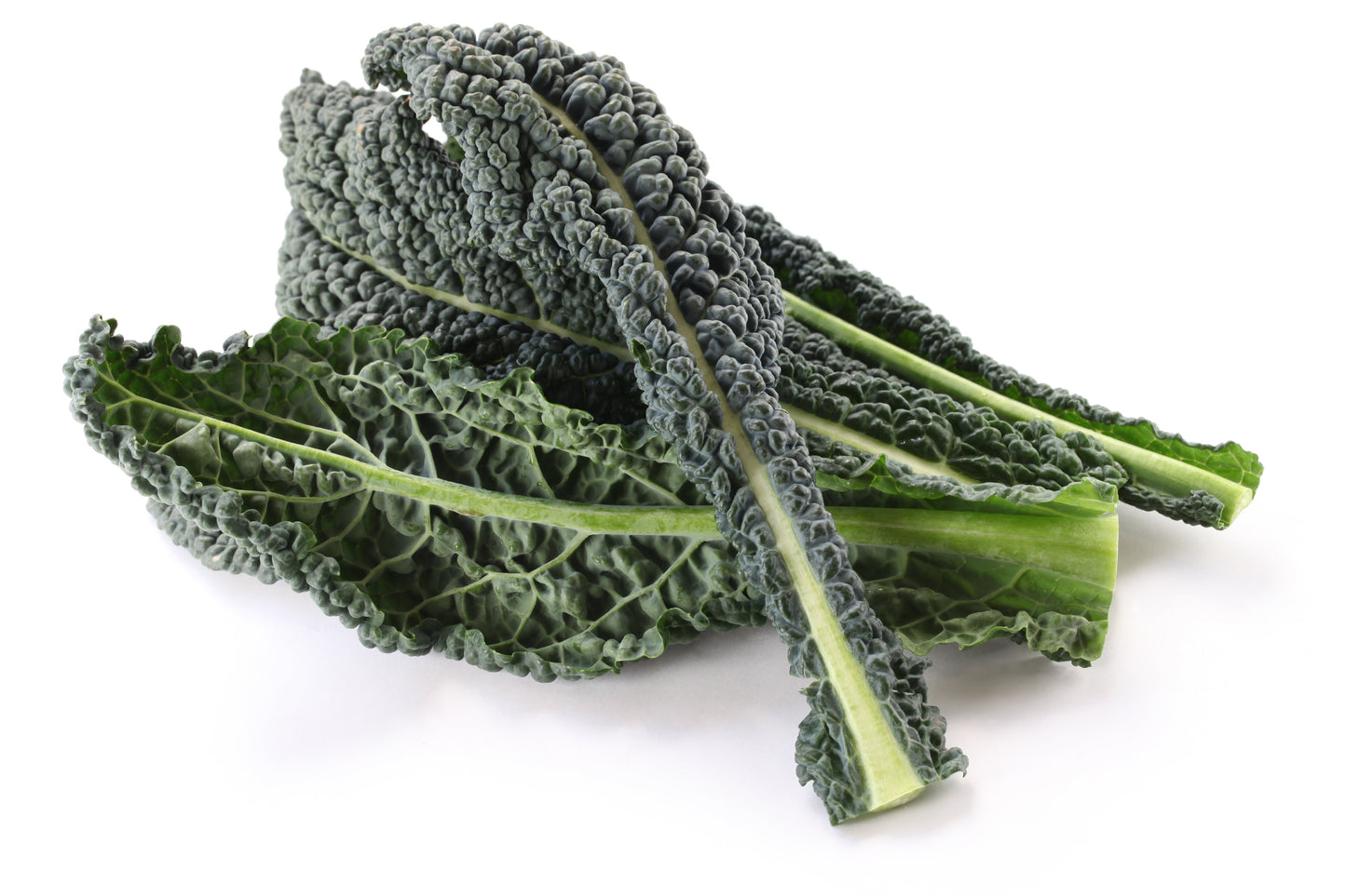 Kale Black Magic Seeds – Brassica oleracea (Organic Certified) - SHOP SEEDS
