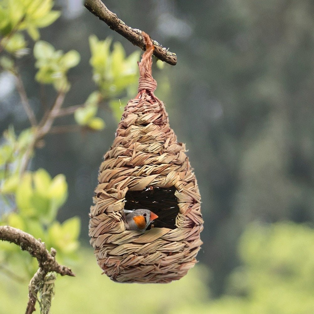 Natural Grass Woven Bird House – Bird Nest Roosting Pocket - SHOP SEEDS