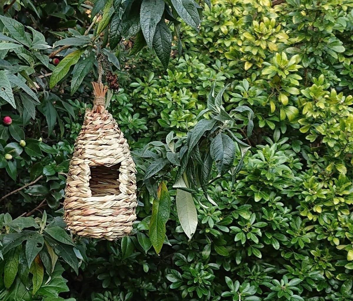 Natural Grass Woven Bird House – Bird Nest Roosting Pocket - SHOP SEEDS