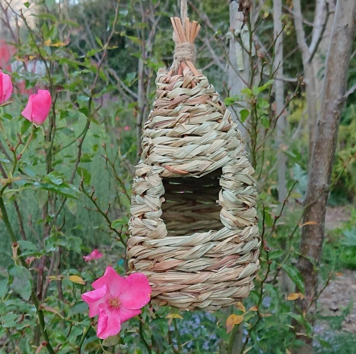 Natural Grass Woven Bird House – Bird Nest Roosting Pocket - SHOP SEEDS