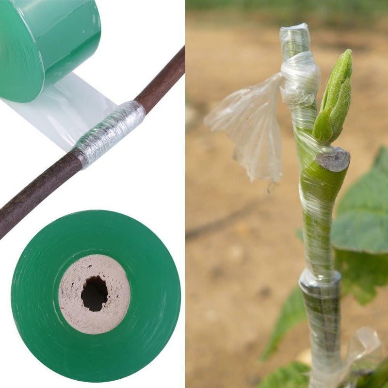 Nursery Grafting Tape 2.5cm x 100m Roll - 2 Pack - SHOP SEEDS