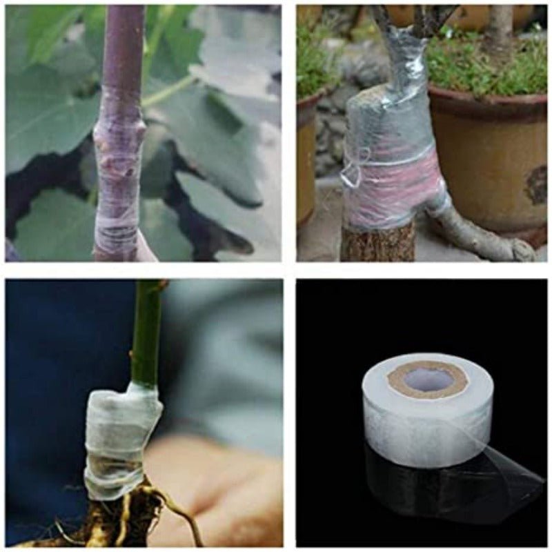 Nursery Grafting Tape 3cm x 100m Roll - 2 Pack - SHOP SEEDS