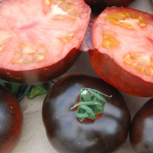 Organic Black Pearl Cherry Tomatoes Seeds – Solanum lycopersicum - SHOP SEEDS