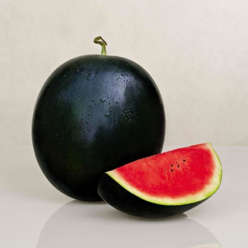 Watermelon Sugarbaby Organic Seeds – Citrullus vulgaris - SHOP SEEDS