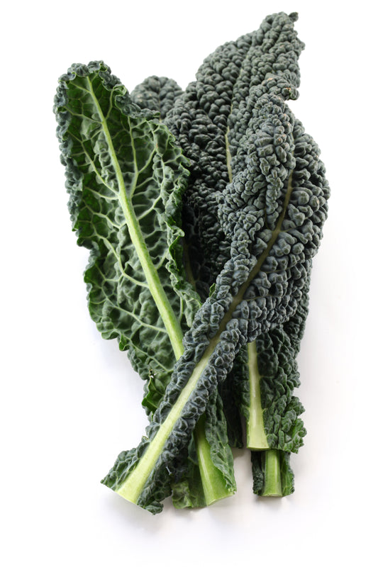 Kale Black Magic Seeds – Brassica oleracea (Organic Certified) - SHOP SEEDS