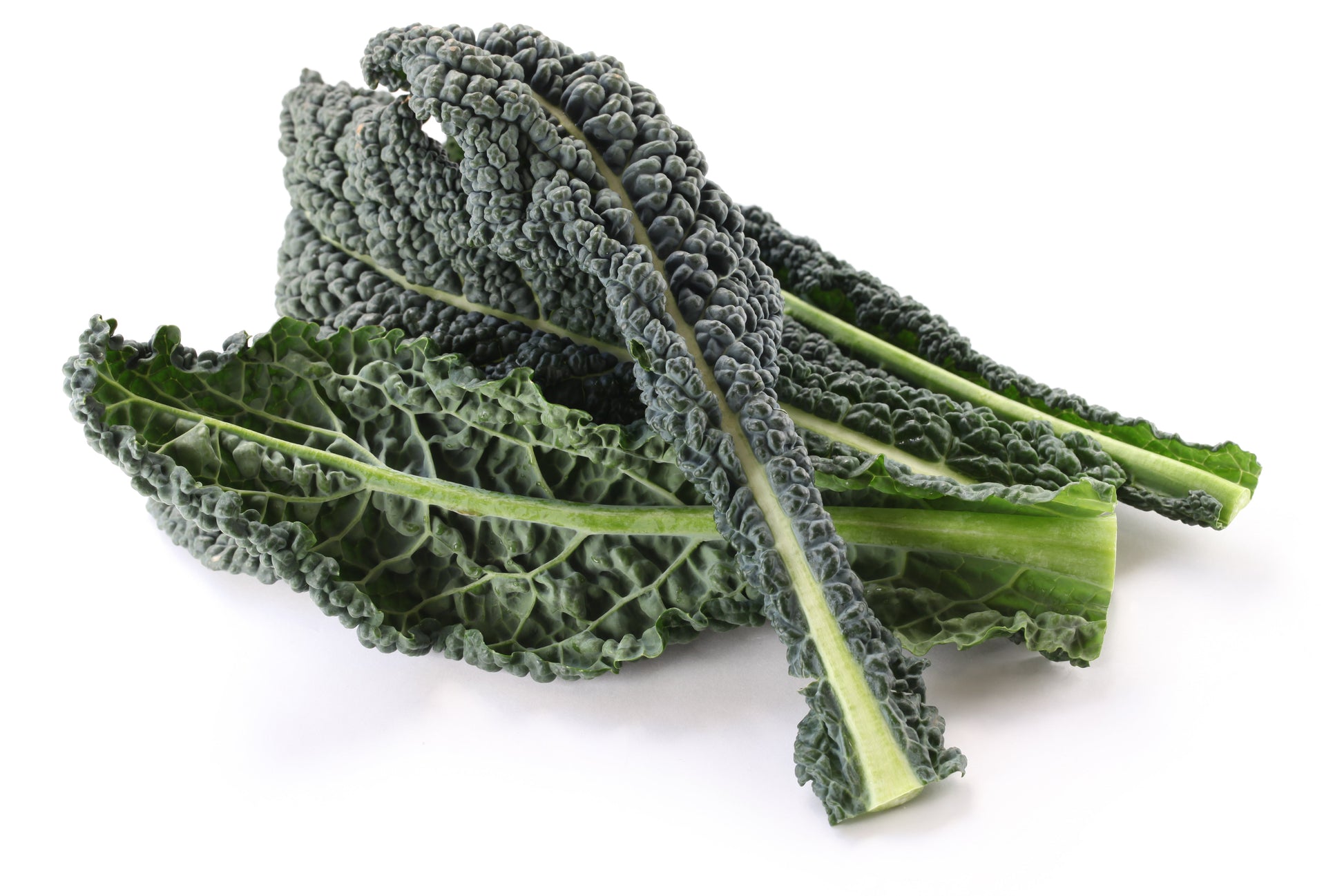 Kale Black Magic Seeds – Brassica oleracea (Organic Certified) - SHOP SEEDS
