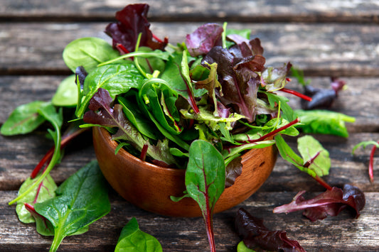 Lettuce Gourmet Mesclun Mix Seeds – Lactuca sativa - SHOP SEEDS