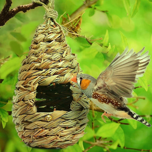 Natural Grass Woven Bird House – Bird Nest Roosting Pocket - SHOP SEEDS