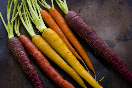 Rainbow Carrot Seeds – Daucus carota - SHOP SEEDS