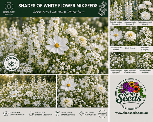 Shades of White Flower Mix Seeds – Assorted Annual Varieties - SHOP SEEDS