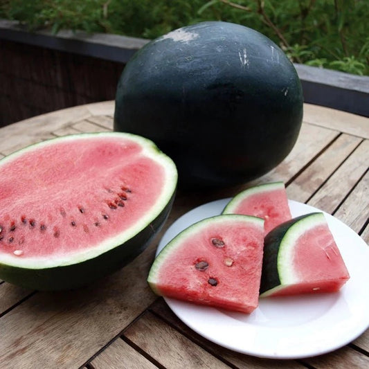 Watermelon Sugarbaby Organic Seeds – Citrullus vulgaris - SHOP SEEDS